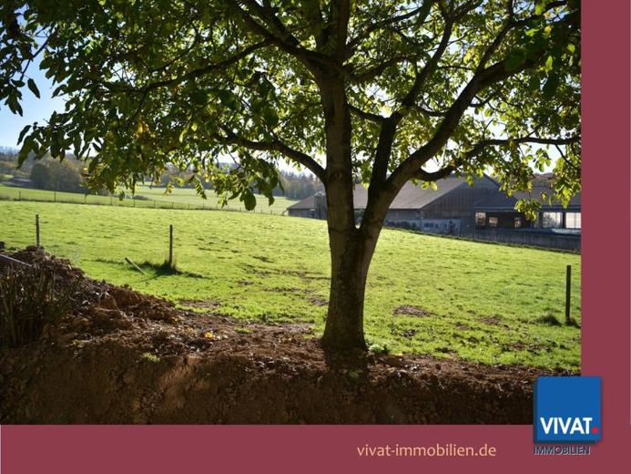 Vista sul verde e tanto spazio: casa unifamiliare molto curata, più fienile, cortile e giardino – Foto 1