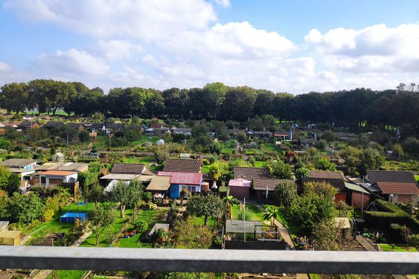Helle 3-Zimmer-Wohnung mit Balkon und weitem Grünblick in Duisburg-Meiderich