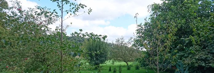 5_Garten