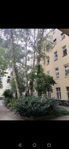 bezugsfreie wohnung – Foto 13