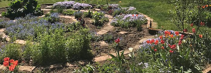 Gemüsegarten