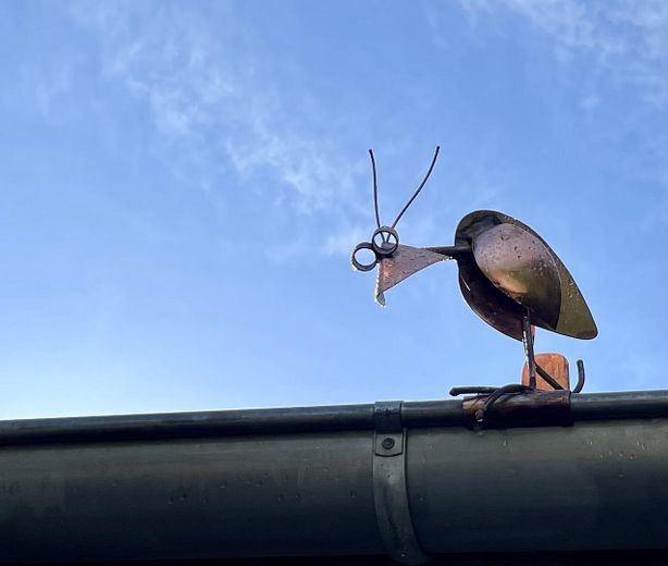 Aufpasser auf dem Dach