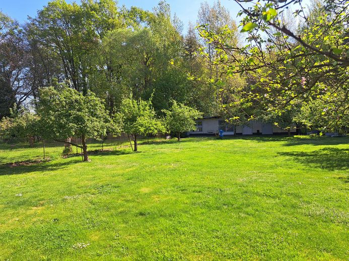 unterer Garten