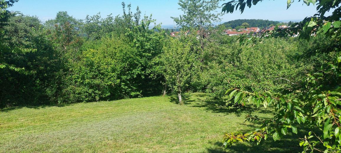 Terreno per il tempo libero top con splendida vista, casetta da giardino, area barbecue, acqua, alberi da frutto e da noce – Photo 5