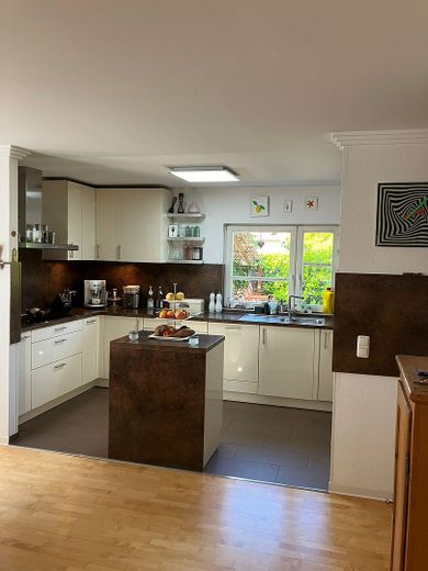 EG offene moderne Küche