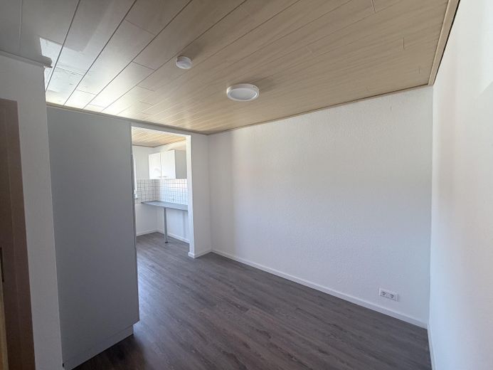 zentral gelegene, frisch renovierte 2-Zi. Wohnung – Esszimmer