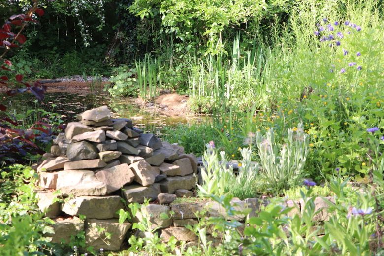 Naturgarten-Strukturen