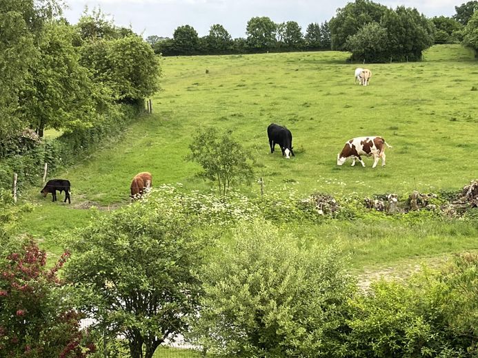Blick 1. OG nach Süden