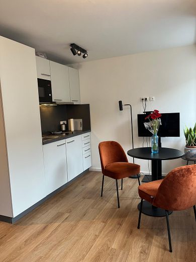 Furnished studio apartment - Himpfelhof – Essbereich / Küche 1