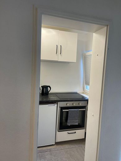 ✨ Modernes, voll möbliertes 1-Zimmer-Apartment in zentraler Lage – Volkerstraße 34 – Küche