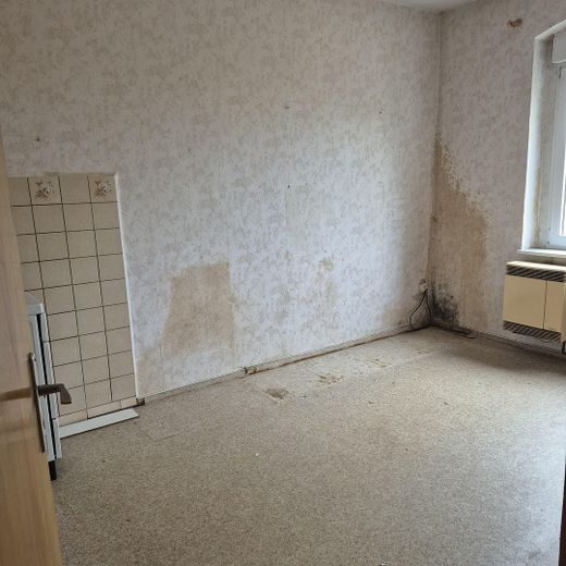 Schönes Wohnhaus u. ehemaliges Mühlengebäude – Foto 7