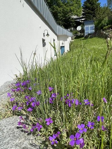 Ein Haus, zum Wohnen und Arbeiten nahe Chemnitz zu verkaufen. – Garten