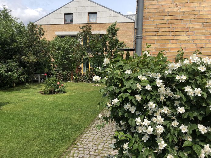Blühender Garten