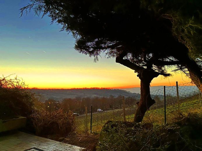 Blick in den Rheingau