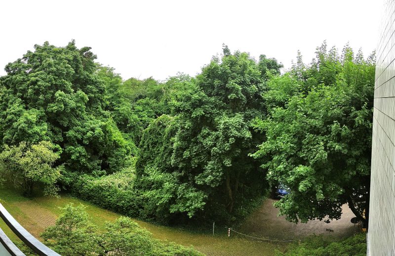 Ausblick Westbalkon