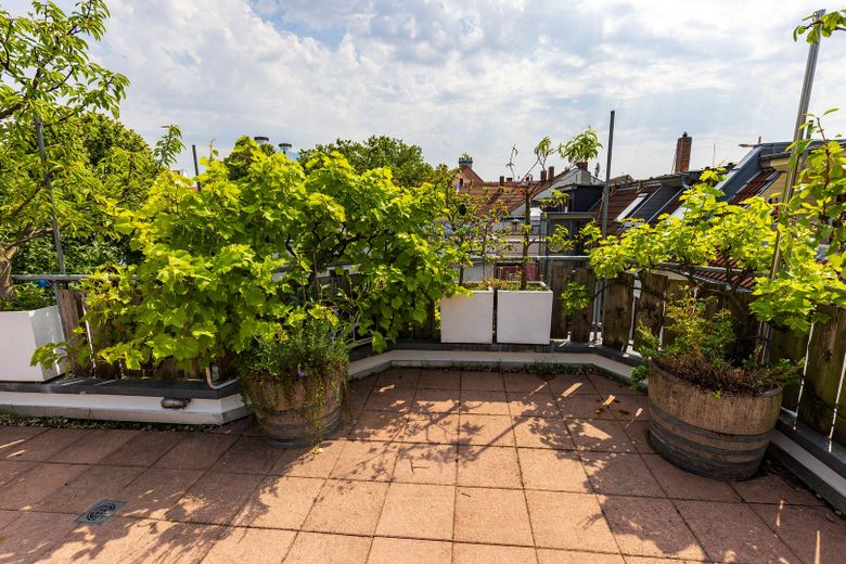 Listed monument-protected maisonette · 137m²· 70 m² roof terrace · elevator · vacant · Leipzig Zentrum-Nord – Dachterrasse