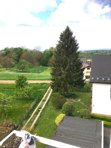 Blick Richtung Elsass