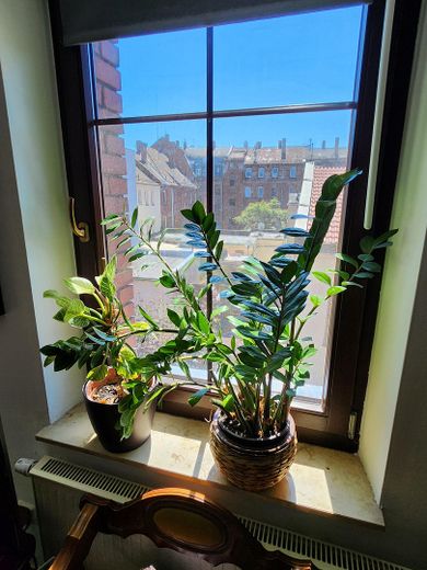 Light-filled old building apartment (5 rooms) by the city park - 4 spacious bedrooms and separate living room – Blick aus Zimmer 4