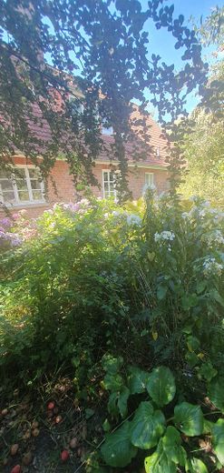 Garten Blick aufs Haus