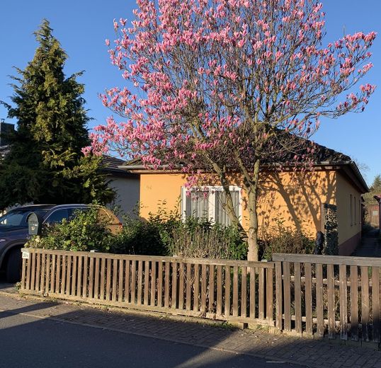 Einfamilienhaus + Gartenbungalow in bester Lage – Foto 1