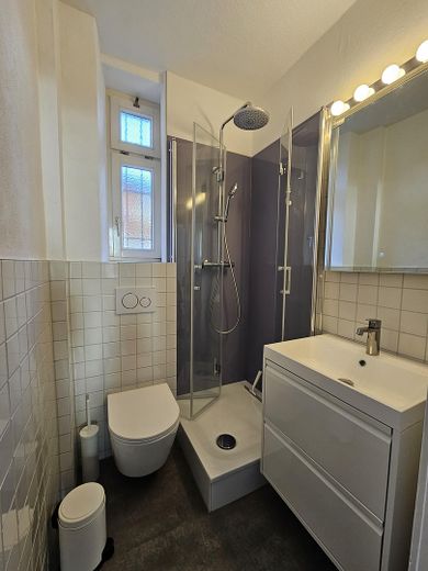 Sanierte 1-Zimmer-Wohnung - ideal für Pendler – Badezimmer mit WC