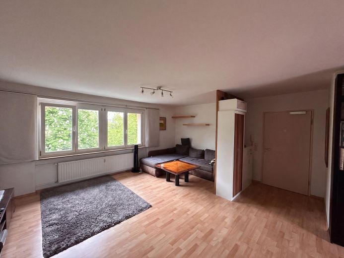 Wohnzimmer und Eingang
