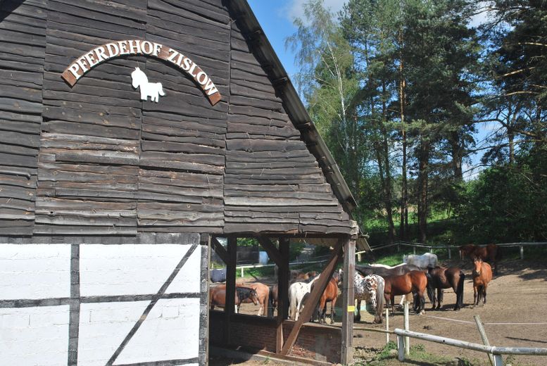TOP-Altersvorsorge: 4-Sterne-Ferienhaus in ruhiger Lage nur 200m zum Plauer See –  Pferdehof Zislow mit Café