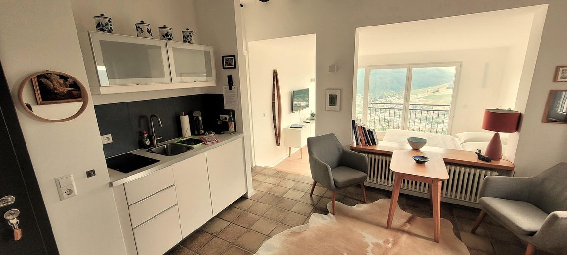 Alojamiento Moselsteig: 6 apartamentos vacacionales, cafetería y vivienda del operador con vistas al Mosela – Studio Apartment