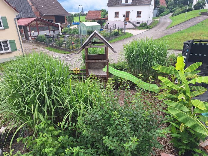 Garten ( kein Spielturm mehr)