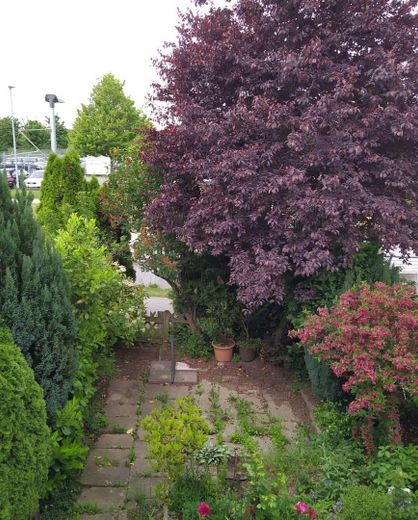 Blick in den Garten von oben