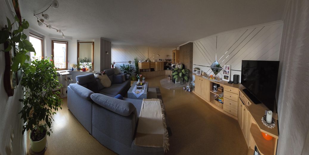 Charmantes Reihenendhaus mit 5 Zimmern+Partykeller in Dresden-Lockwitz incl. Küche – Wohnzimmer mit Kamin