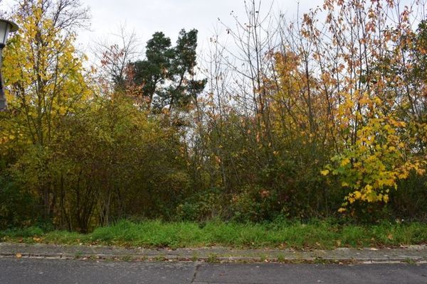 Baugrundstück in einzigartiger Lage mit unverbaubarem Moselpanoramablick
