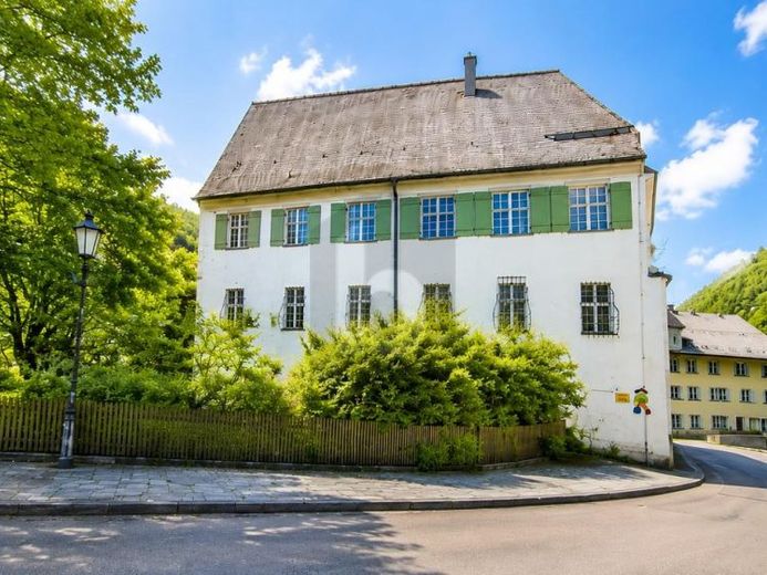 HISTORISCHER FORSTHOF: STEUERVORTEIL BEI SANIERUNG – Foto 1