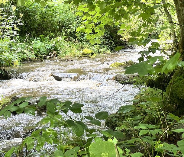 Am Wildbach mit "Pool"