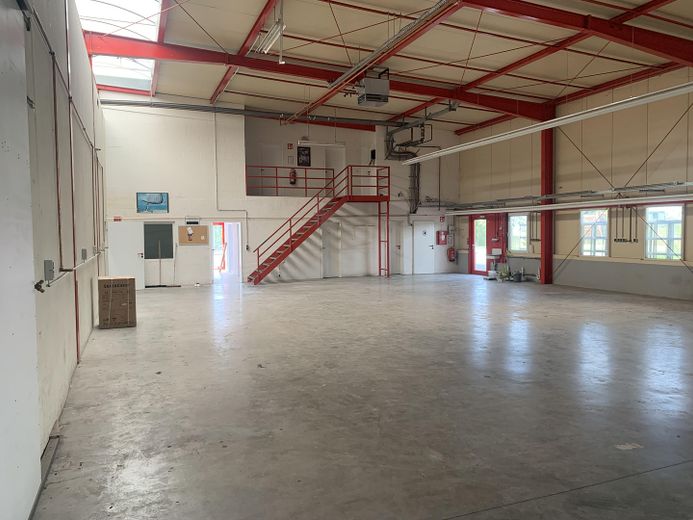 Lagerhalle/Gewerbehalle/Miethalle/Warmhalle/1100+300m²/Hallenkran 10t – Foto 7