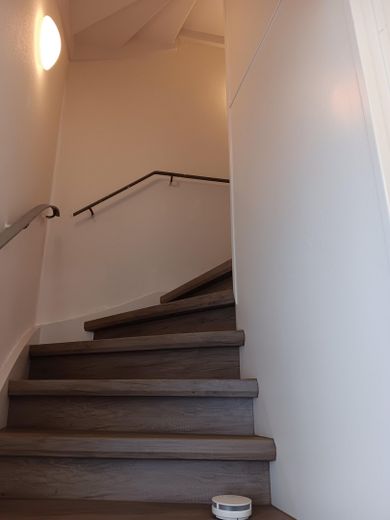 Worms Innenstadt-West'te müstakil 1 aile evi, büyük bahçe – Foto 25