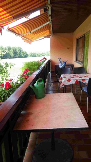 Anwesen mit Einfamilienhaus inkl. ELW & zweitem Wohnhaus, Garagen, Carport, Scheune & Werkstatt – Foto 5