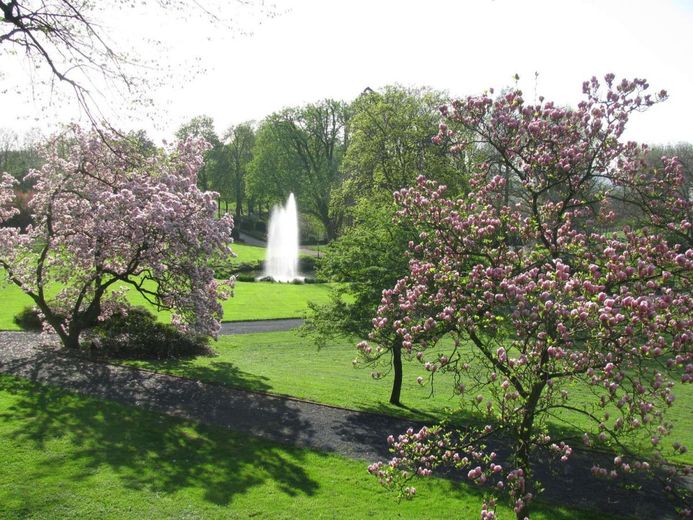 Frühling