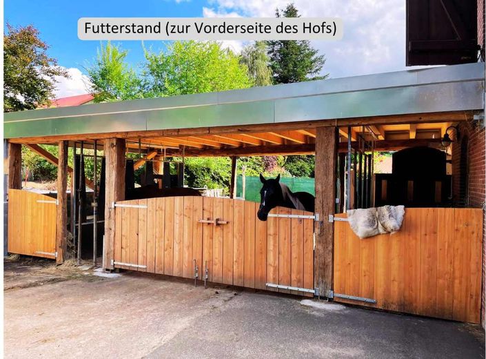 (zeitgesteuerte) Heufütterung