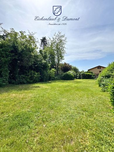 Altbauvilla mit parkähnlichem Grundstück auf dem oberen Rastpfuhl – Garten