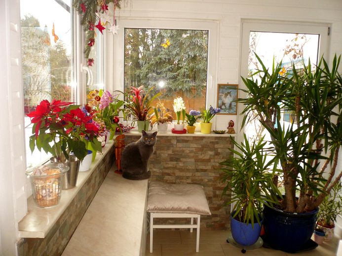 Idilliaca casa unifamiliare in stile bungalow con romantico giardino di rose – Foto 7