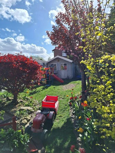 farbenfroher Garten