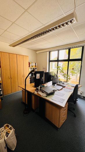 Einzel-Büro / Besprechung