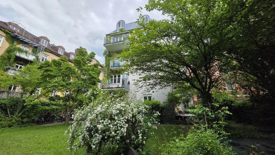 Garten und Hausrückseite
