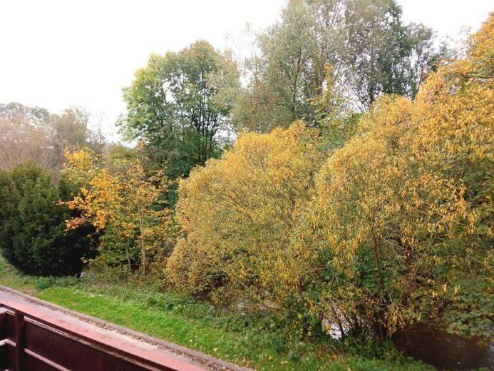 Balkon Blick in Natur