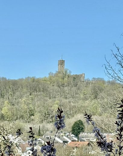 180° Burgblick auf allen Etage