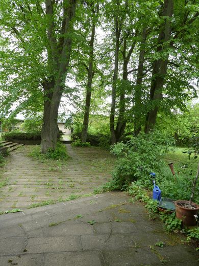 Casa forestale Metzelthin - abitare e lavorare nel Parco naturale dei laghi dell'Uckermark – Lindenplatz vor dem Haus
