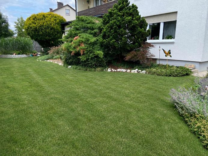 Ben curato appartamento di 3 locali al piano terra con veranda e ampio giardino – Foto 14