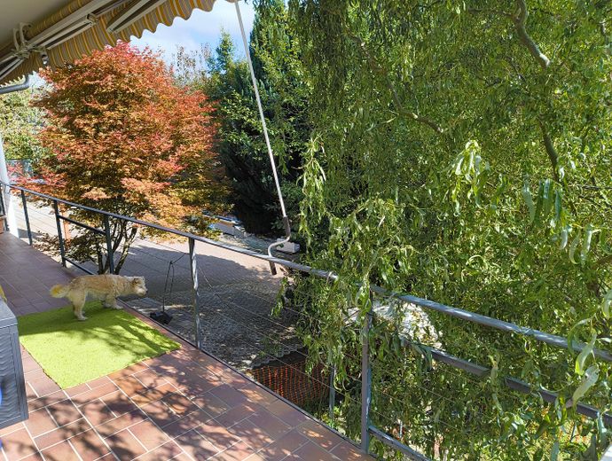 A-EG S-Ost Balk.+Stellplätze