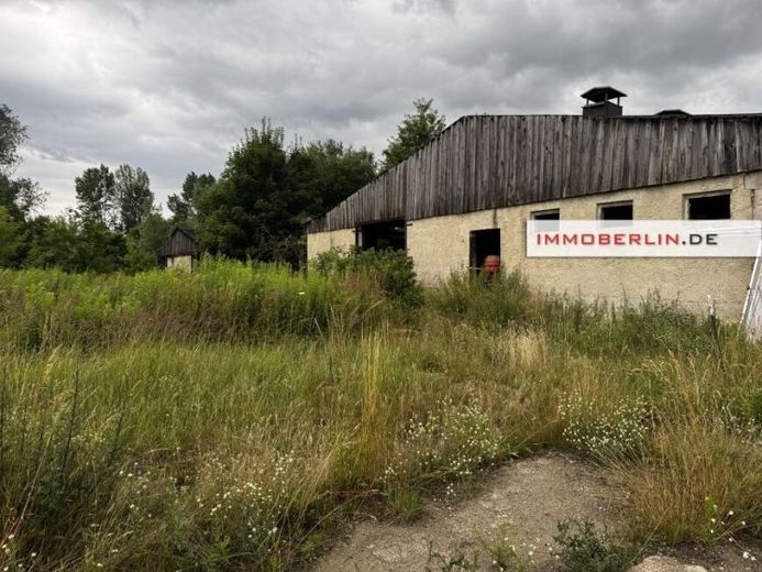 IMMOBERLIN.DE - 5,3 Hektar für die Land- und/oder Forst- bzw. Energiewirtschaft – Foto 1